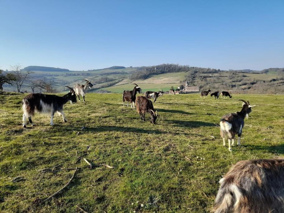 Les Vacances Passy  Dış mekan fotoğraf